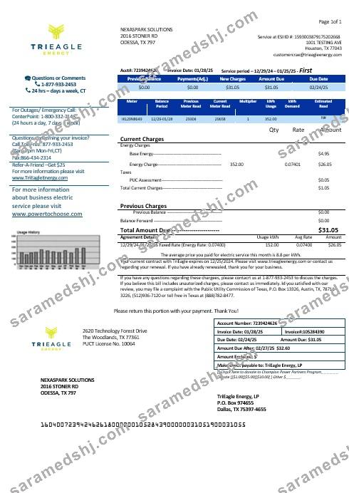 USA Texas TriEagle business utility bill template in Word and PDF  formats